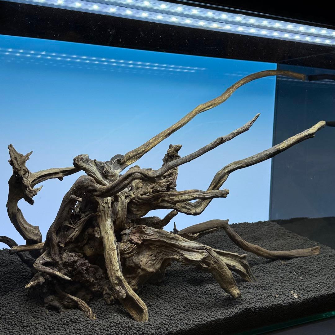 MSRW-7175スリムウッドレイアウトセット　60cm水槽用流木　アクアリウム