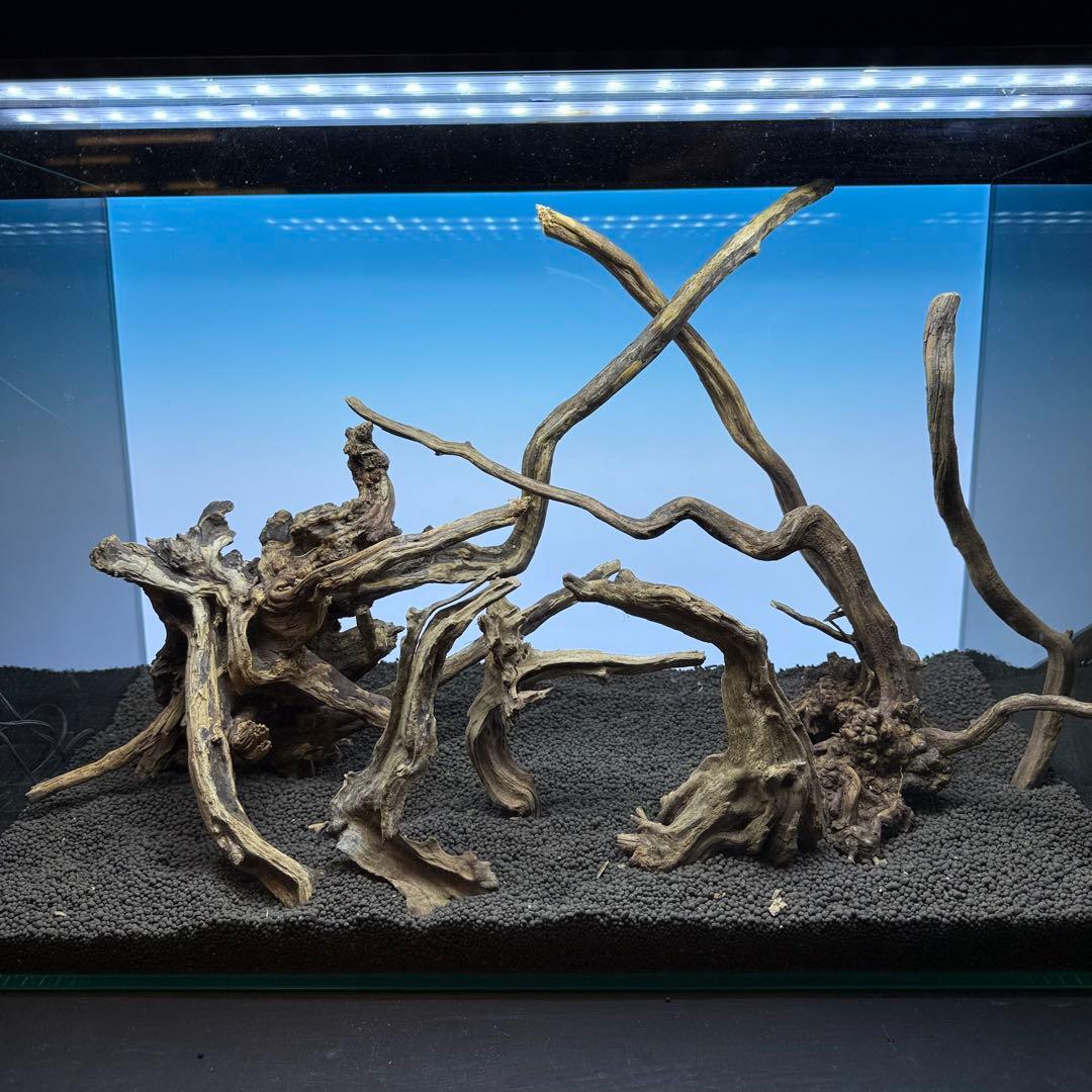 MSRW-7175スリムウッドレイアウトセット　60cm水槽用流木　アクアリウム