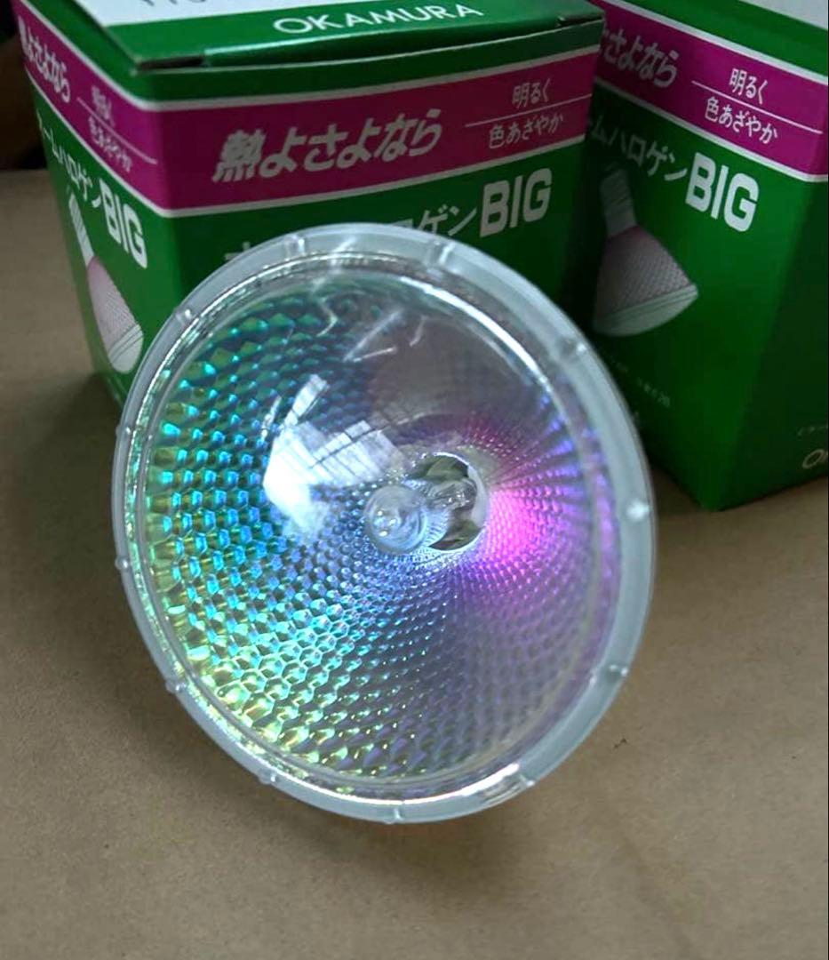 オームハロゲンBIG 150W 110V