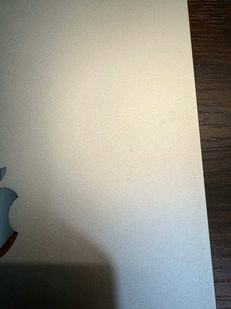 【付属品有】iPadPro第3世代WiFi+Cellular11インチ256GB