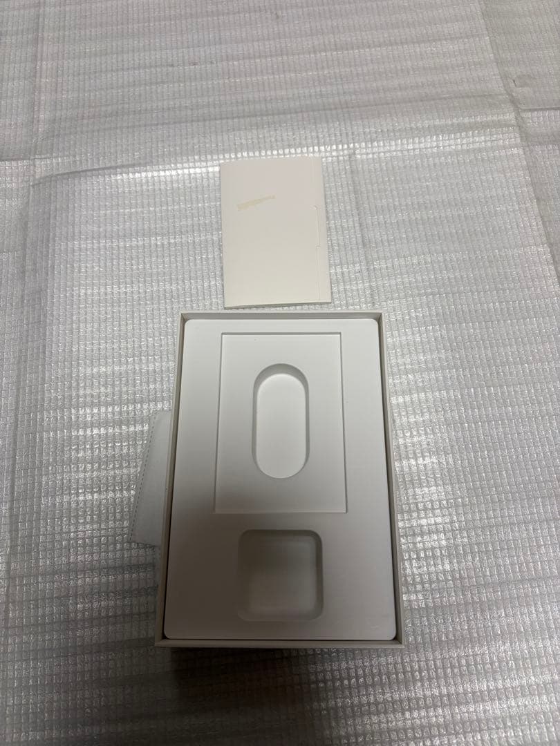 Apple iPad mini 4世代　7.9インチ シルバー 本体