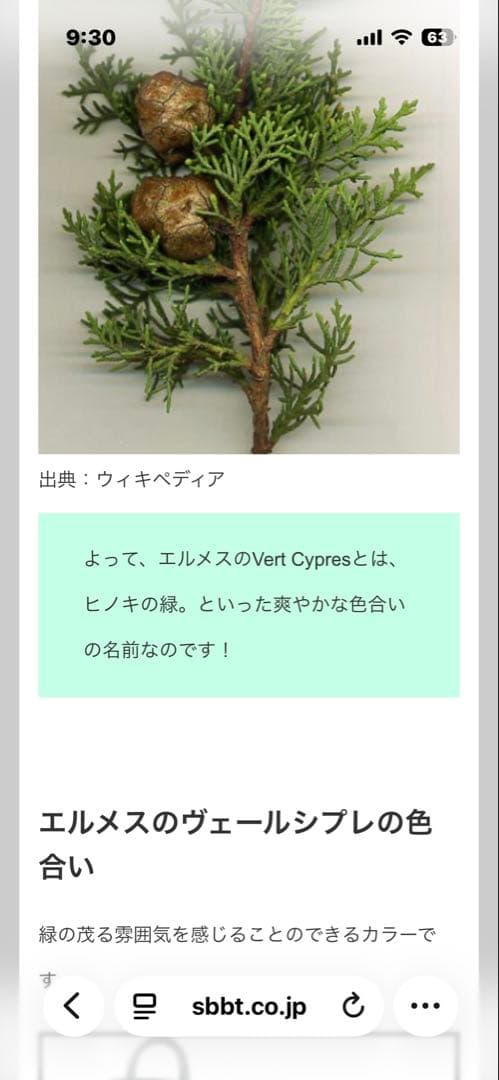 けい様 HERMES ミニポップH ネックレス ヴェール・シプレス　ゴールド