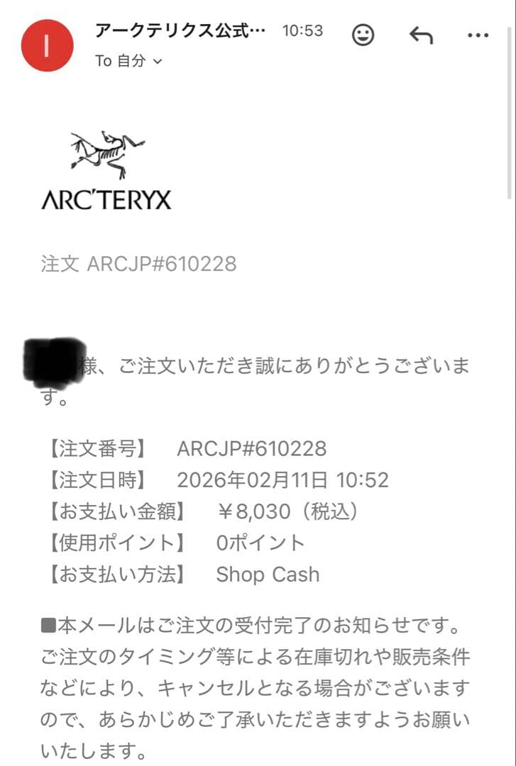 即購入可　Arc’terx ビーニー　直営店限定モデル