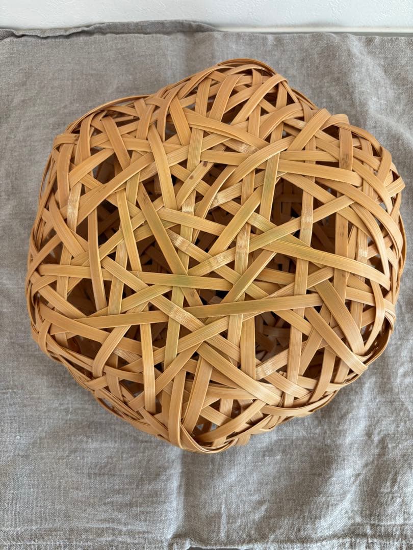 フルーツのためのベッド　真竹　武田 優希