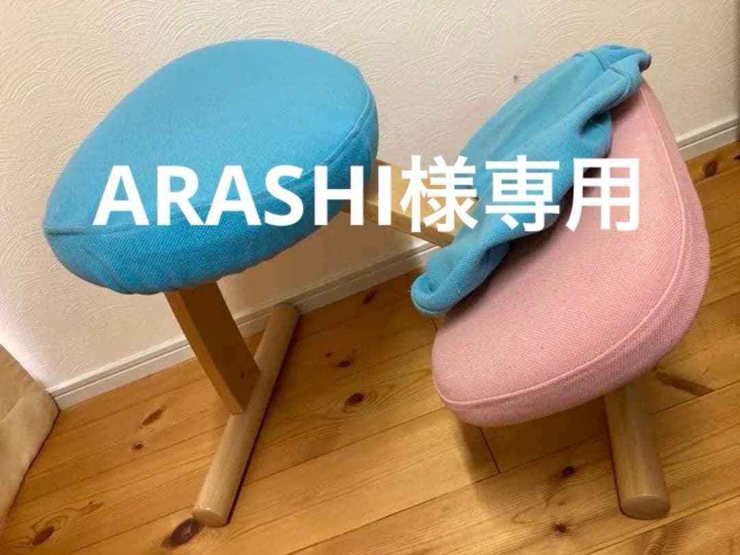 Rybo Balans EASY バランスイージー バランスチェア　カバー付き