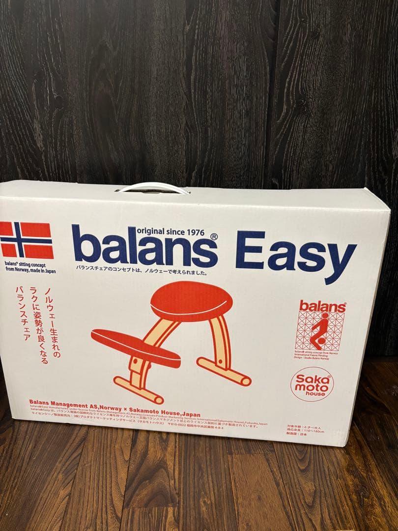 Rybo Balans EASY バランスイージー バランスチェア　カバー付き
