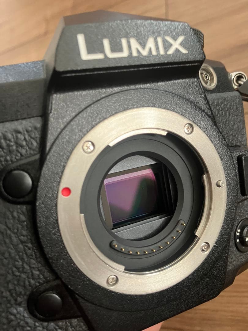 Panasonic LUMIX G9 PRO 本体
