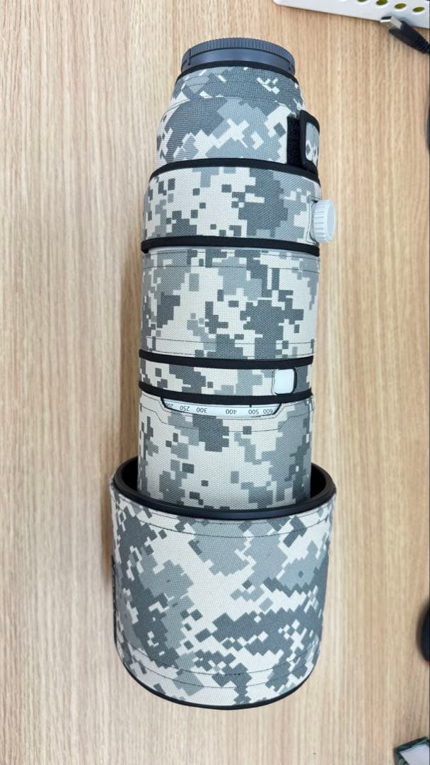 超美品Sony FE 200-600mm F5.6-6.3 G OSS