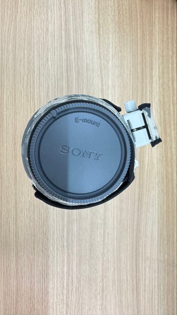 超美品Sony FE 200-600mm F5.6-6.3 G OSS