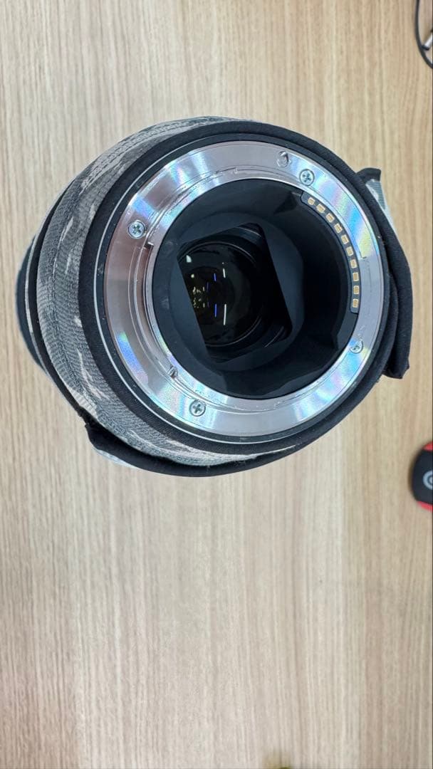 超美品Sony FE 200-600mm F5.6-6.3 G OSS