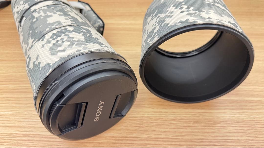 超美品Sony FE 200-600mm F5.6-6.3 G OSS