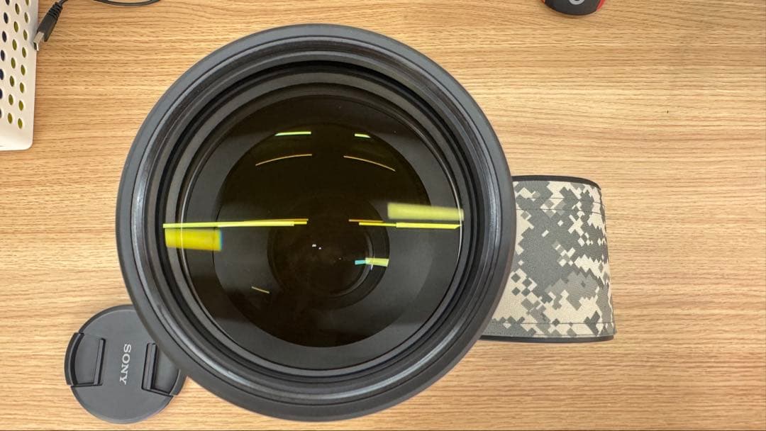 超美品Sony FE 200-600mm F5.6-6.3 G OSS