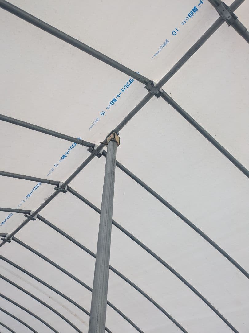 まみまみ　10キロ