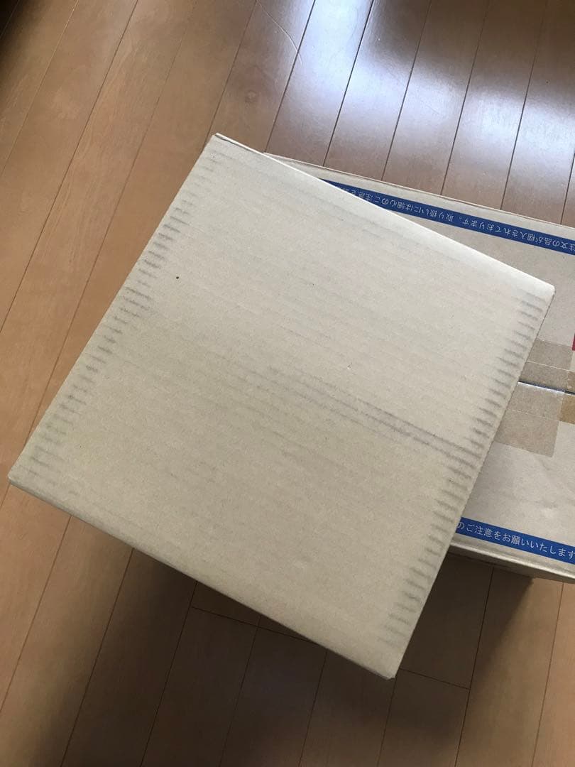 スノーハザード　カートン