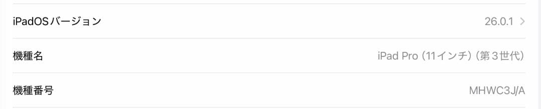 豊*K様 iPad Pro 11インチ Wi-Fi + Cellular 1TB
