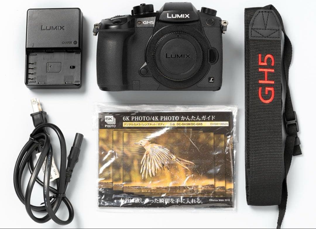 【めだかのめ】Panasonic LUMIX GH5スモールリグゲージ付き