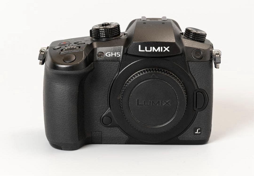 【めだかのめ】Panasonic LUMIX GH5スモールリグゲージ付き