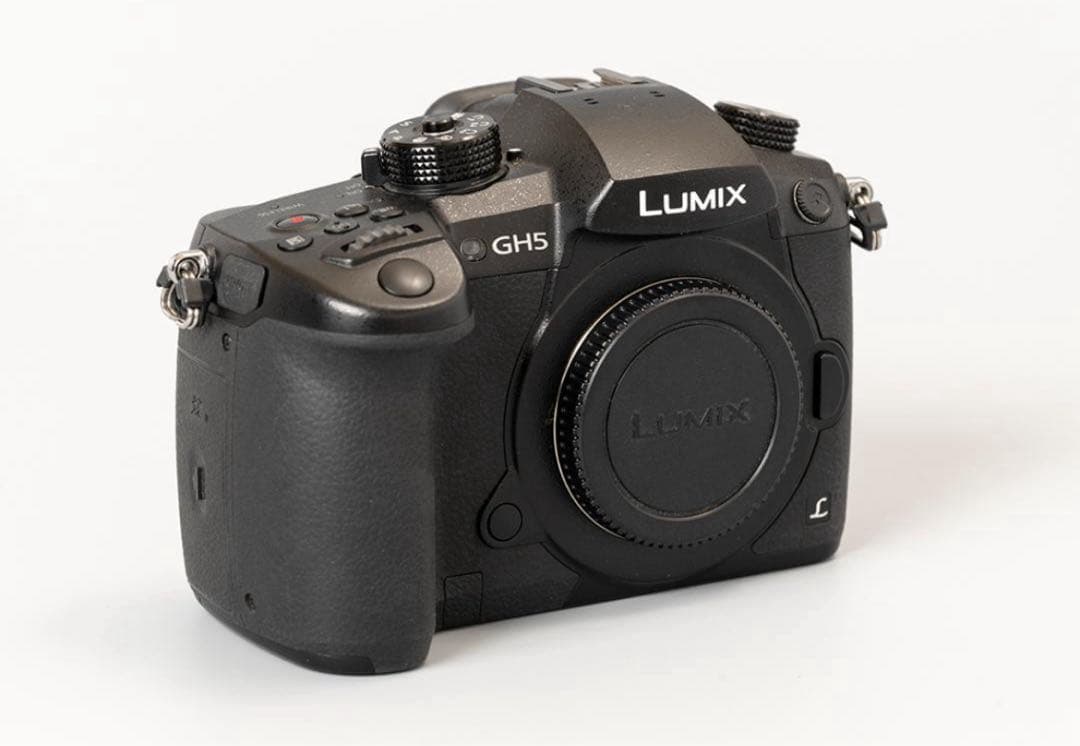 【めだかのめ】Panasonic LUMIX GH5スモールリグゲージ付き