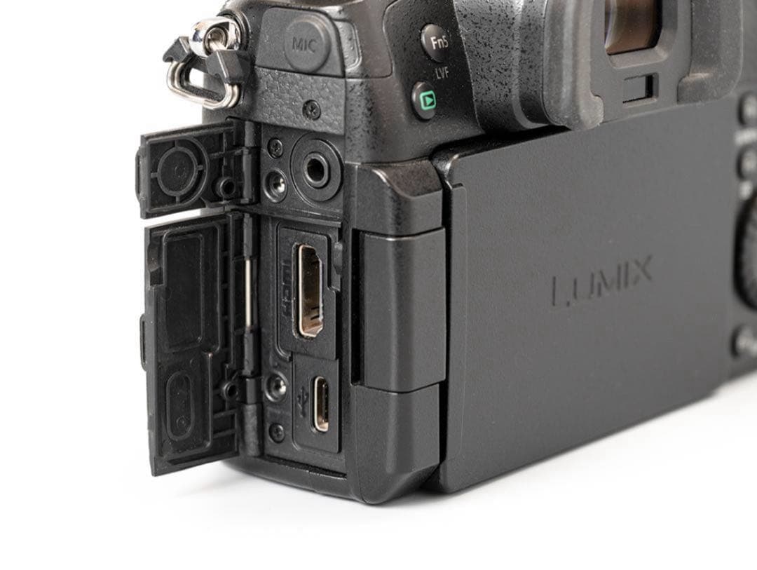 【めだかのめ】Panasonic LUMIX GH5スモールリグゲージ付き