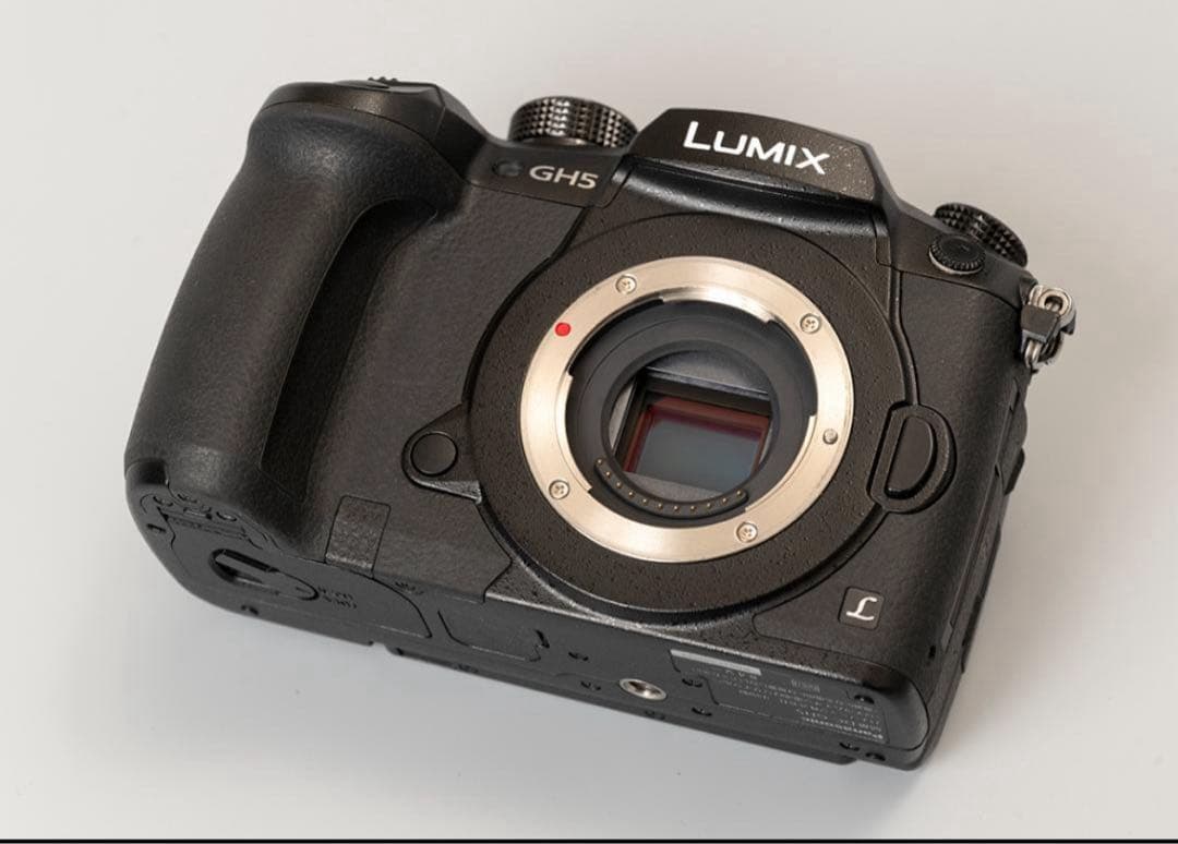 【めだかのめ】Panasonic LUMIX GH5スモールリグゲージ付き