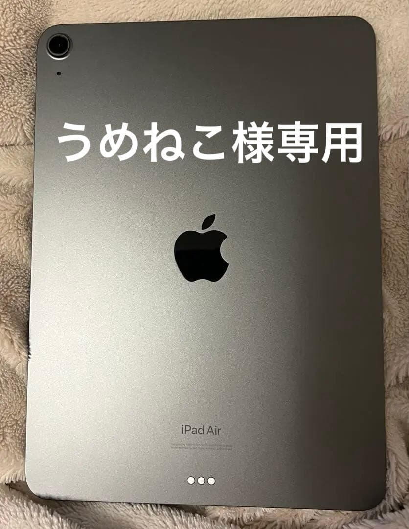 うめねこ iPad Air第5世代