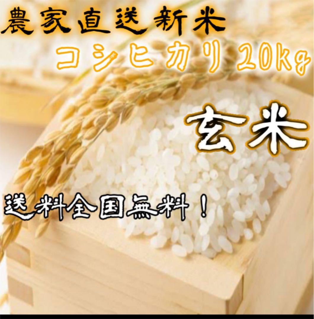 数量限定！出来立て農家直送新米　コシヒカリ玄米！約20キロ！期間限定値下げ！