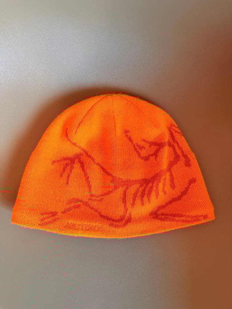 アークテリクス　arcteryx バードヘッドトーク