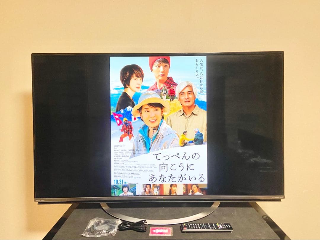 【今だけ優待価格】SHARP AQUOS｜55V型4K｜純正リモコン