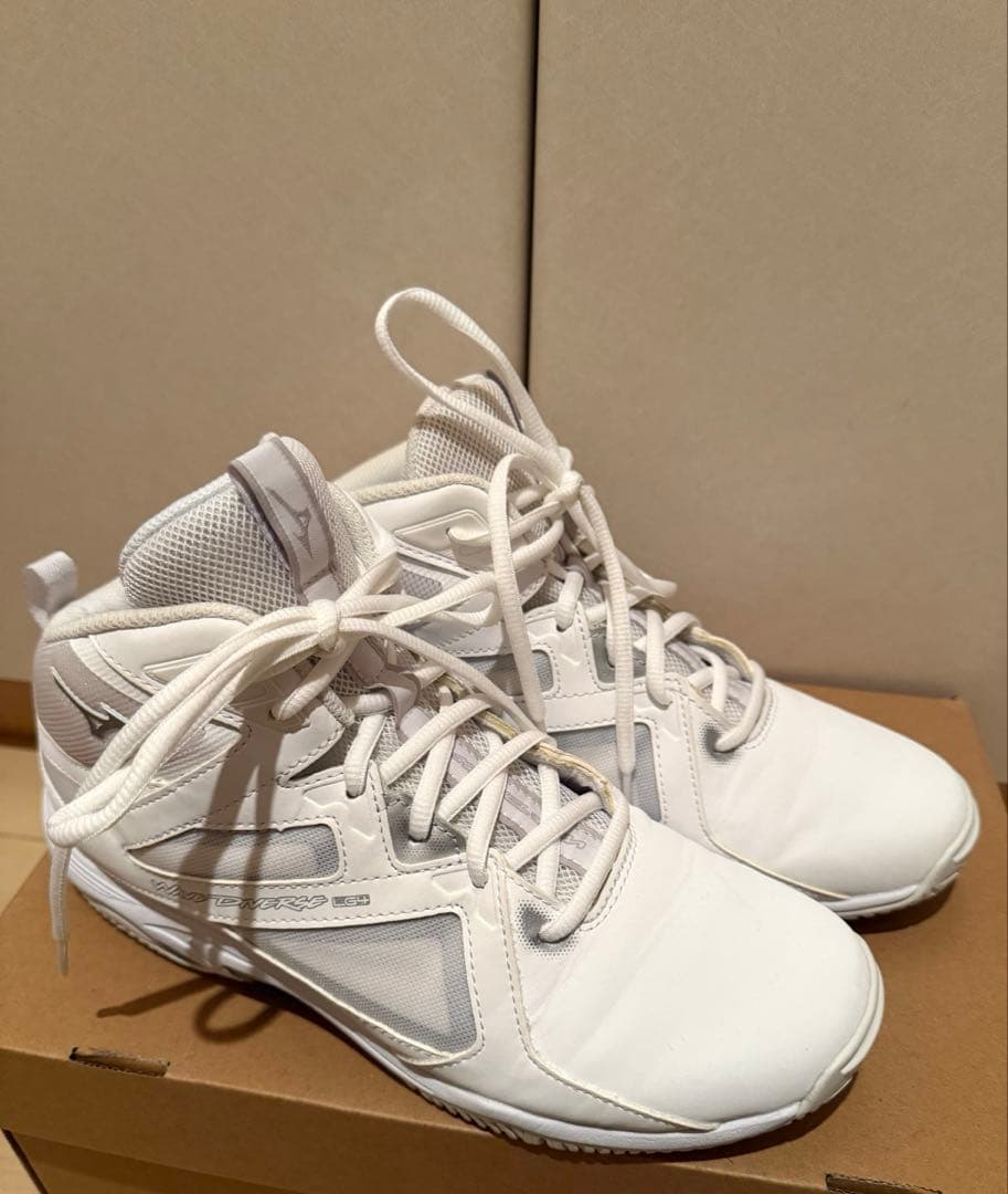 ミズノ　ウェーブダイバースLG4 サイズ25