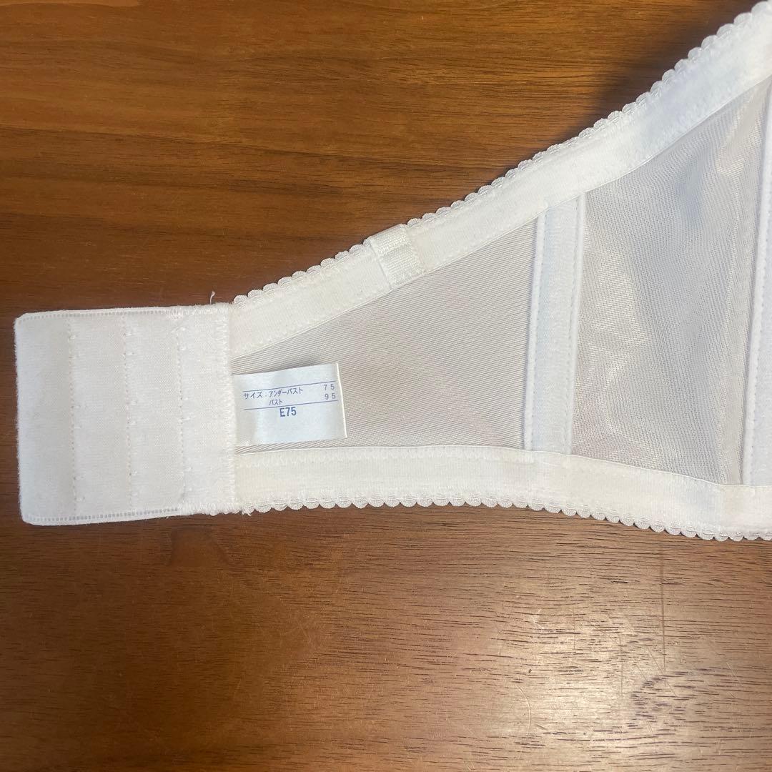 【美品】セモア ブライダルインナーセット　E75