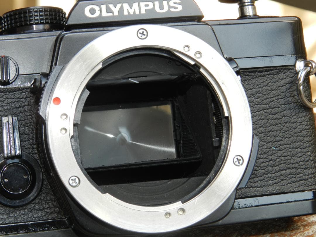 完動品　Olympus OM-1 G.zuiko 50 1.4 即撮影可