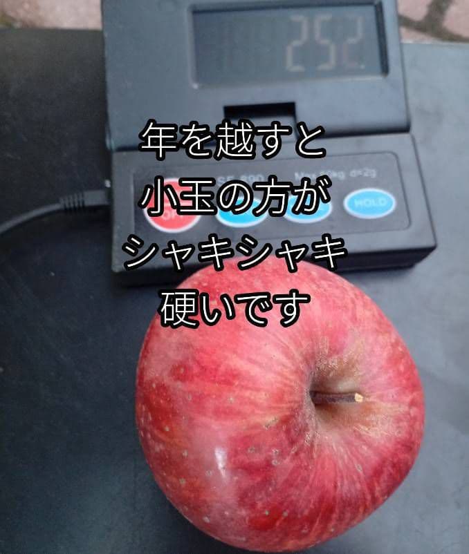 【糖度20度超】信州高山村の小玉フジ15キロシャキシャキ、ジューシーなりんご