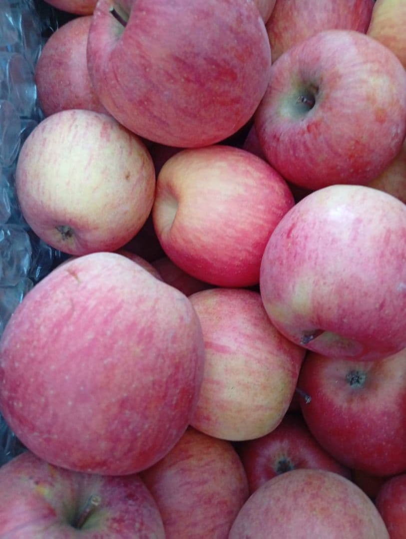 【糖度20度超】信州高山村の小玉フジ15キロシャキシャキ、ジューシーなりんご