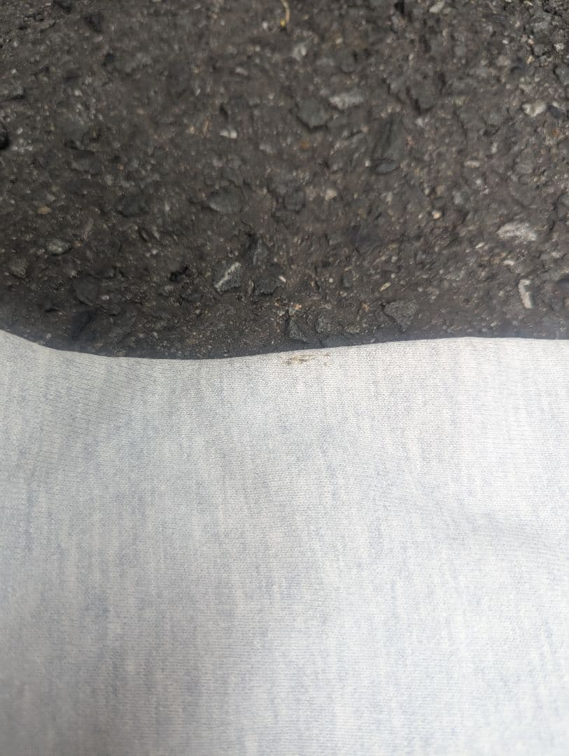 格安　Champion　90s　リバースウィーブ　Lサイズ