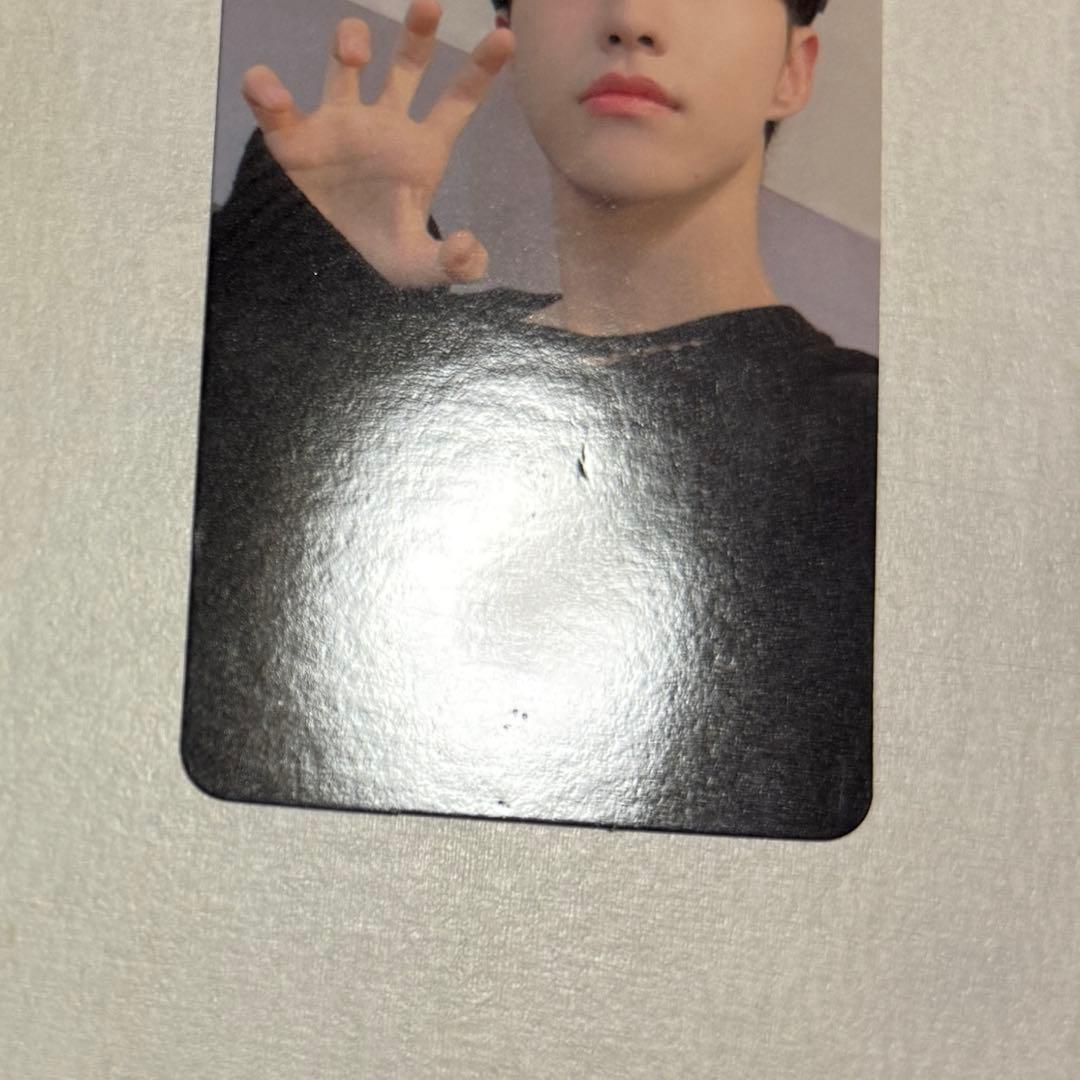 セブチ ホシ　ラキドロ　セミコロン seventeen ビートロード ヨントン