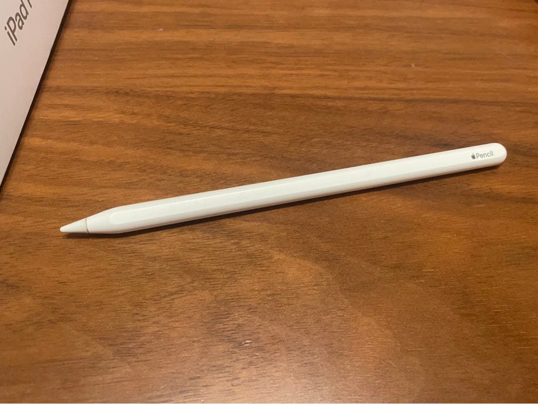 iPad Pro 第1世代 256GB 11インチ Apple Pencil付き