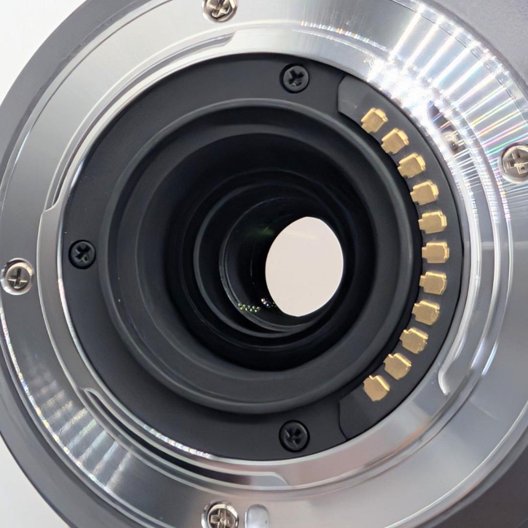 【極美品】Panasonic LUMIX G VARIO 45-200mm