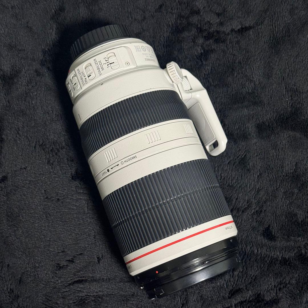 Canon 100-400 F4.5-5.6 L IS II USM 望遠レンズ