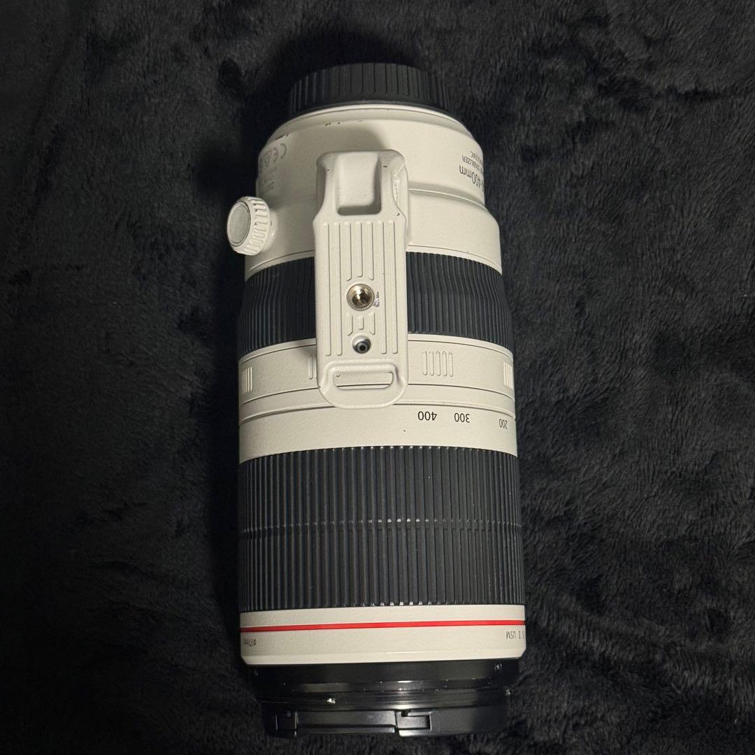 Canon 100-400 F4.5-5.6 L IS II USM 望遠レンズ