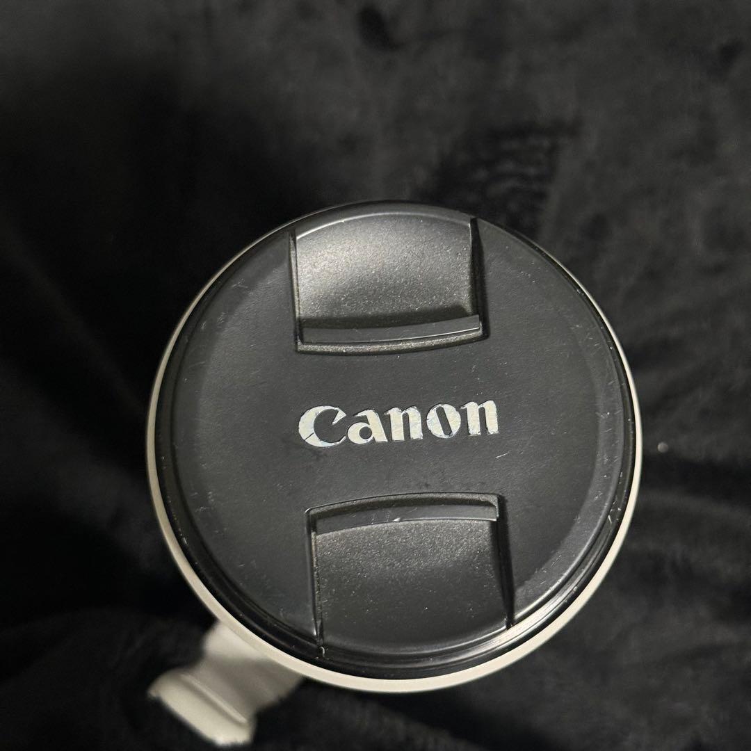 Canon 100-400 F4.5-5.6 L IS II USM 望遠レンズ