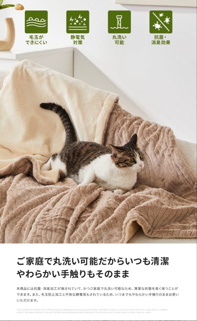 EPEIOS 電気毛布 ラテ　約130cm x 188cm