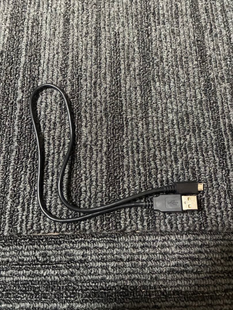 SONY SRS-HG10 中古 動作確認済 元箱あり