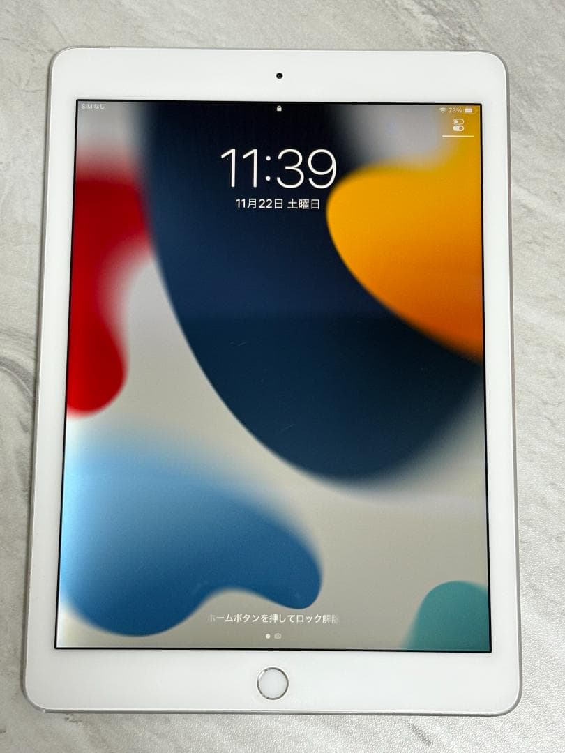 iPad Air 2 128GB Wi-Fi Cellular 充電器なし