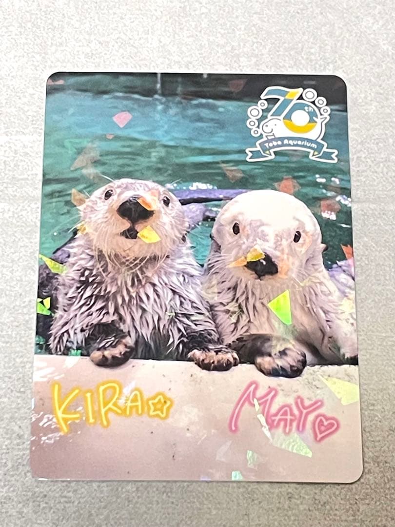 【匿名配送】鳥羽水族館　TOBA AQUARIUMコレクションカード　キラメイ