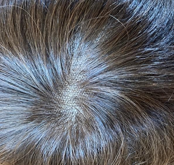 らむね　ジュリアオージェ　人毛MIX　クレバーショート　ナチュラルブラウン