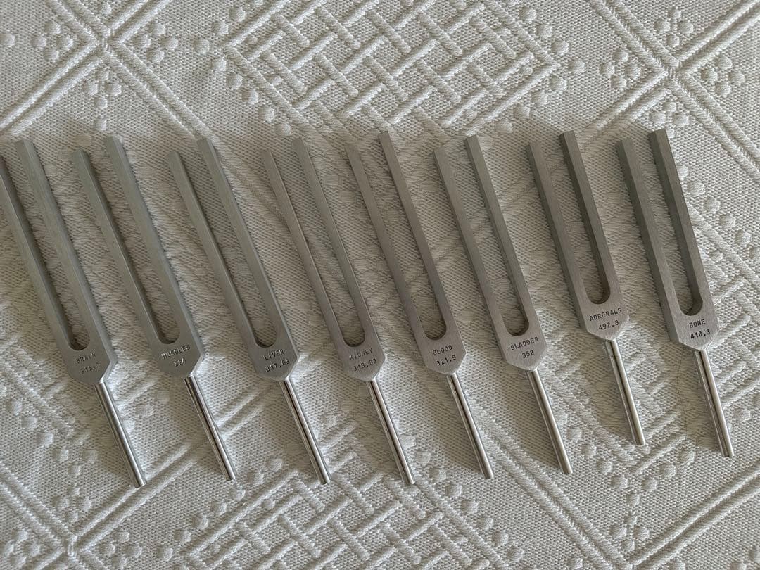 【万葉】音叉15本セット各臓器に対応 米国製ヒューマンオーガンセット