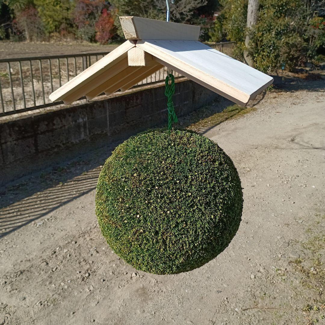 杉玉　直径約35ｃｍ　屋根なし
