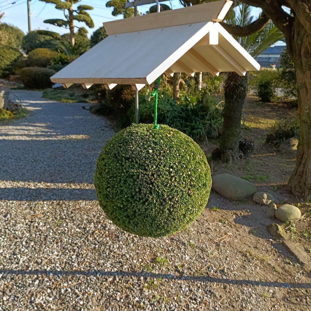 杉玉　直径約35ｃｍ　屋根なし