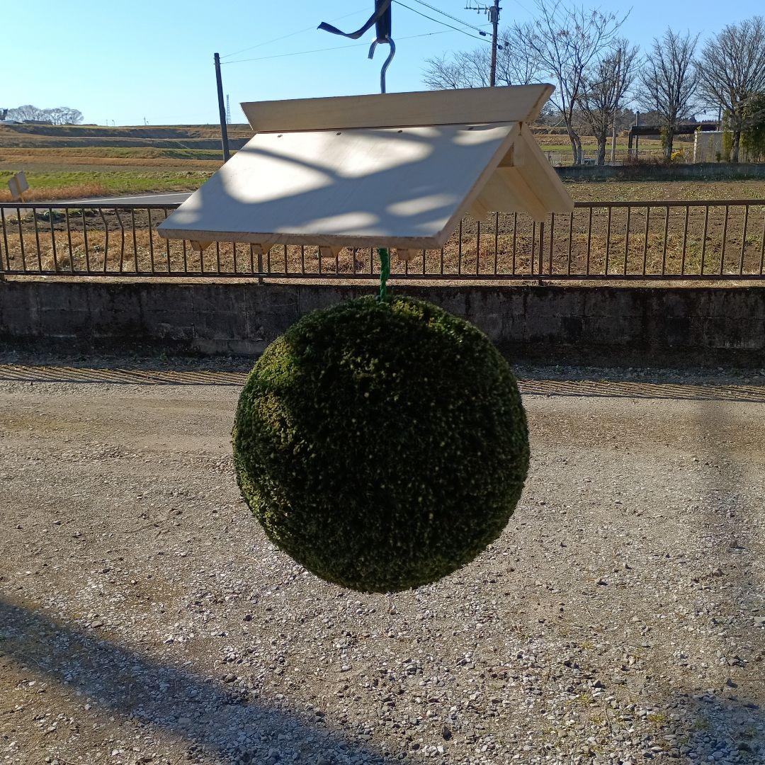 杉玉　直径約35ｃｍ　屋根なし