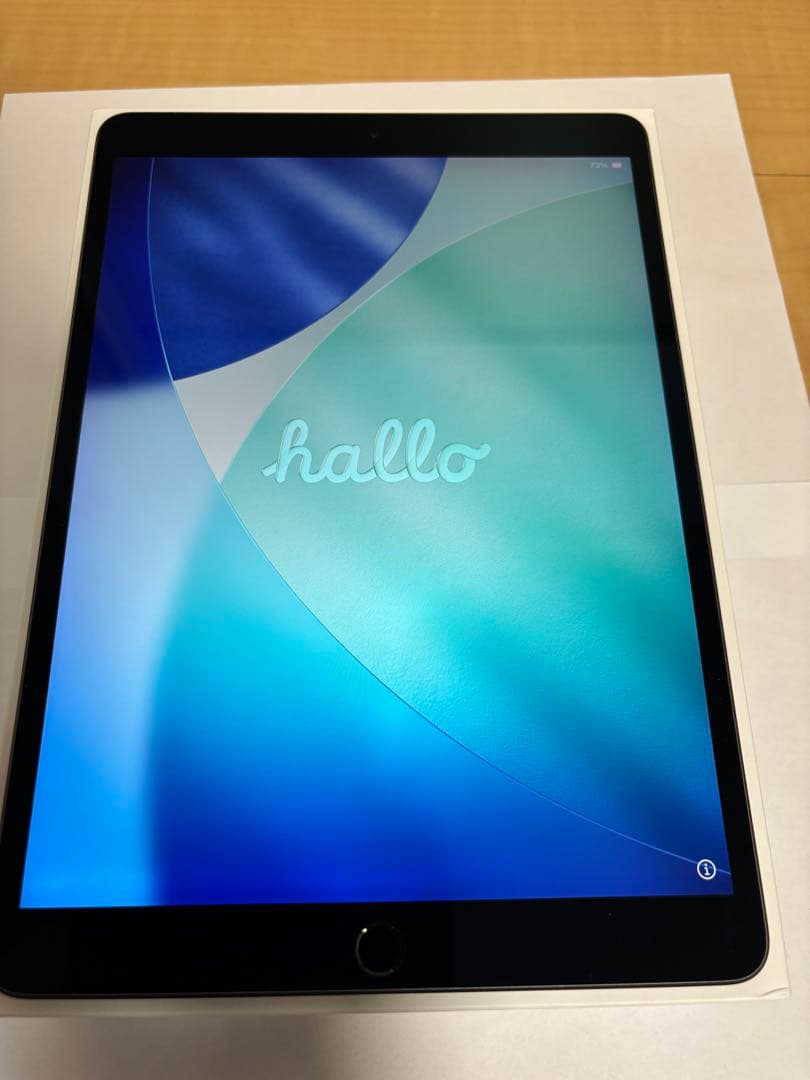 iPad AIR 第3世代 WIFI 64GB （液晶表示むらあり）